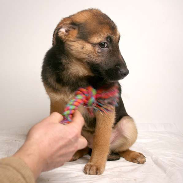 Маленькая Динка ищет семью в Москве фото 14