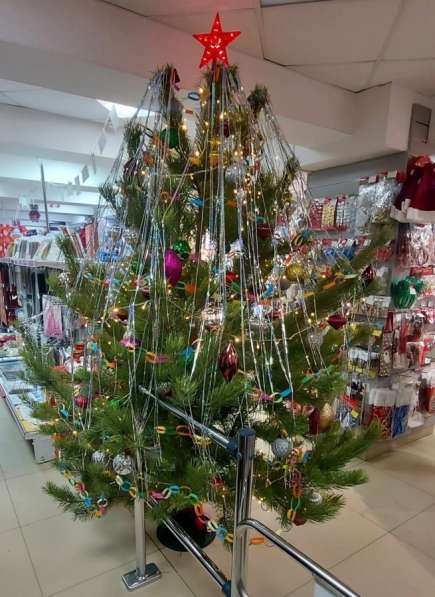 Новогодняя ёлка (сосна)