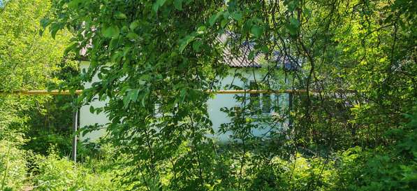 Продам дом в с. Измалково в Елеце фото 10