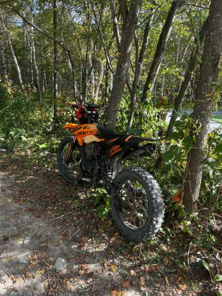 Регалмото атлет 300 в Южно-Сахалинске фото 3