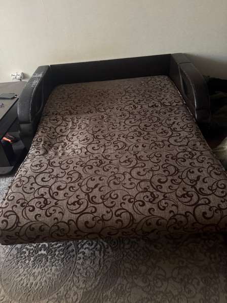 Отдам бесплатно в Сургуте