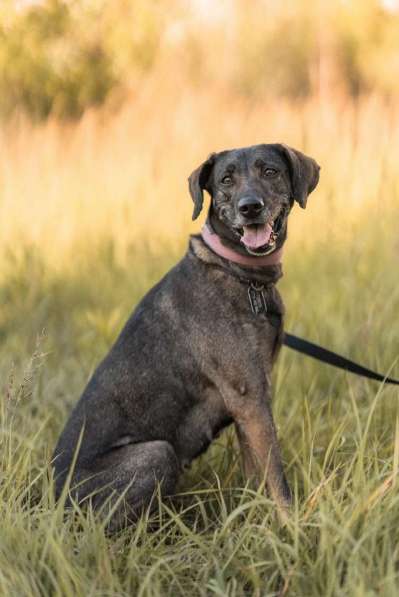 Люся ищет свою вселенную! в Москве фото 7