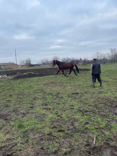 ПРОДАМ!!!! в Краснодаре фото 3