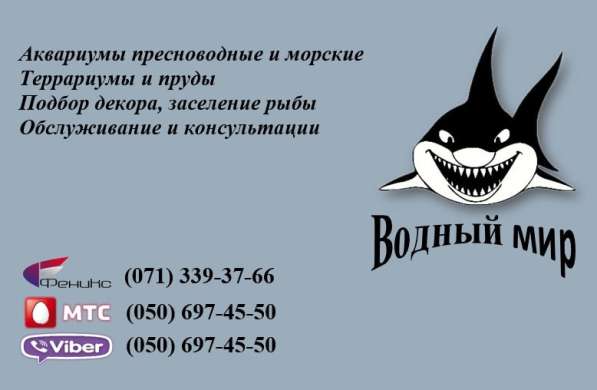 Обслуживание аквариумов в 