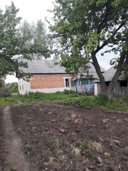 Дом в с. Муратово рядом с рекой Окой