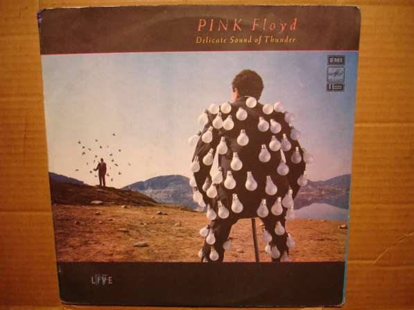 Пластинка виниловая Pink Floyd – Delicate Sound Of Thunder