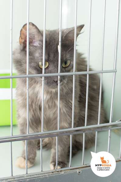 Холли хочет сделать вас счастливее