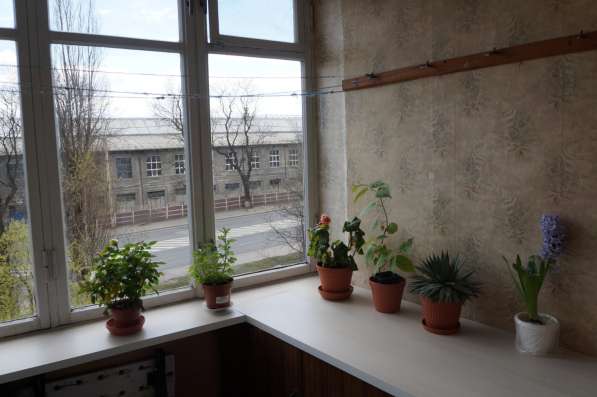 Квартира 3-комнатная в Калининграде фото 4