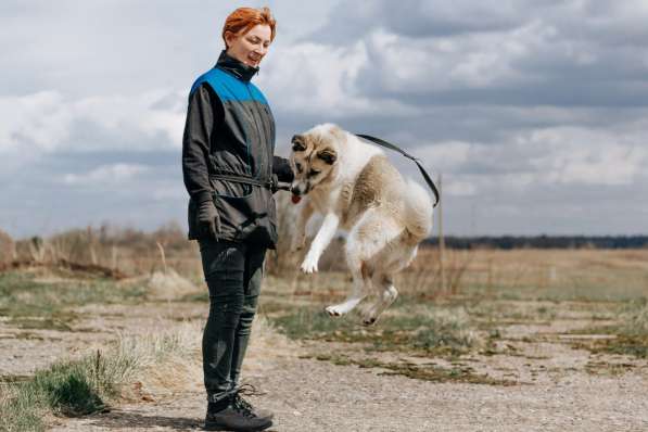 Суперактивная Халва в Москве фото 26