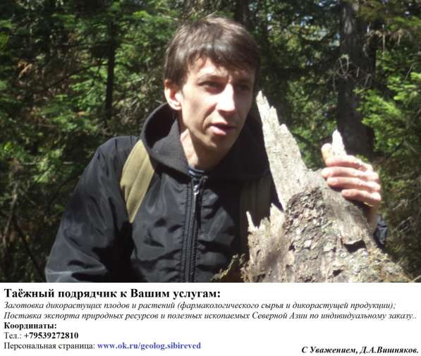 Таёжник - подрядчик к вашим услугам