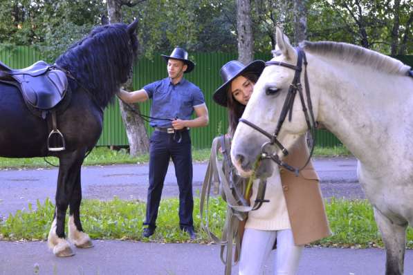Катание на лошадях, романтика Красноярск