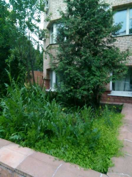 Продается 4х комн. кв-ра м. Новые Черемушки в Москве фото 76