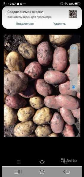 Продам деревенскую картофель
