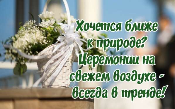 Любимая семейная тамада Мария в фото 3