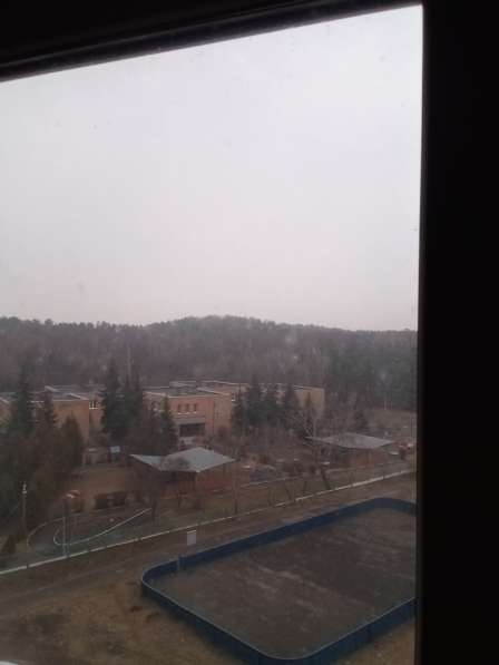 Классная, уютная, толстостенная квартира, био, ЭКО пейзаж в Москве фото 12