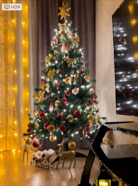 Ёлка в Череповце фото 3