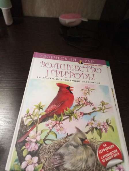 В хорошие руки. Пакетом в Нижнем Новгороде фото 15
