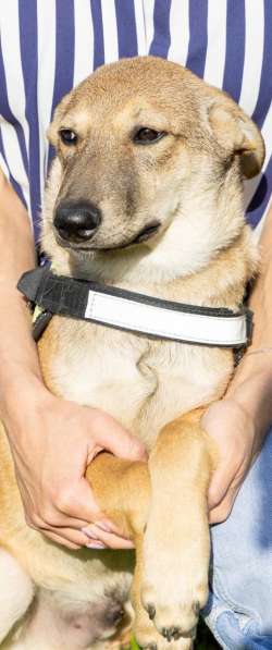 Сироте Марселю нужен дом в Москве фото 9