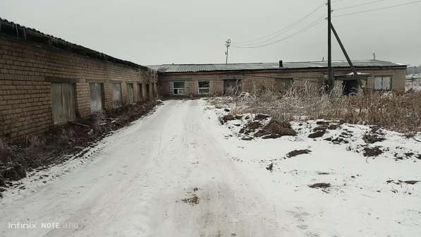 Агрохолдинг ищет соинвестора