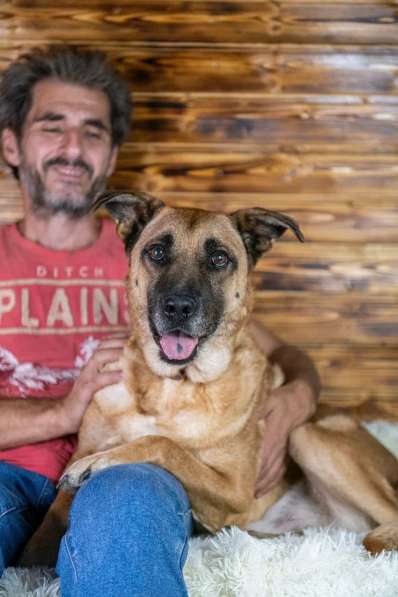 Славный богатырь Норд Батькович ищет дом