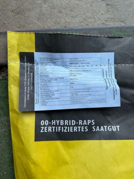 Смена озимого рапса в Краснодаре