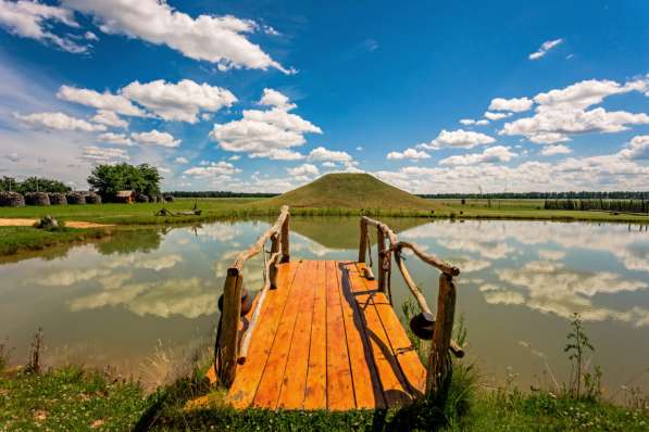 Аренда агроусадьбы в Москве фото 5