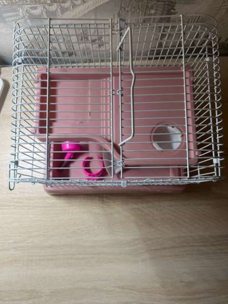 Клетка для грызунов