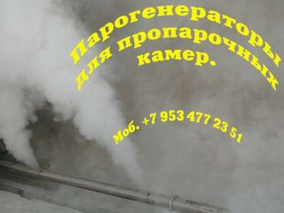 Парогенераторы. Паровые котлы в Москве фото 43