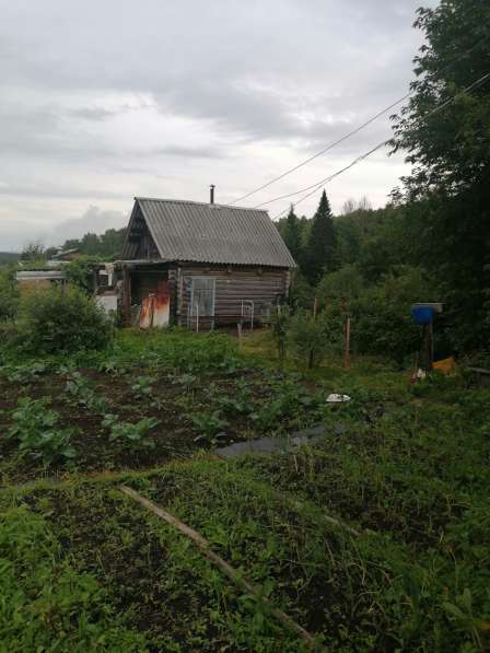 Продам дачный земельный участок в Ачинске фото 3