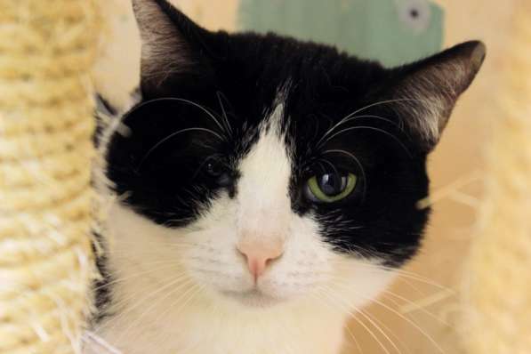 Вдумчивая Луиса мечтает встретить родную душу