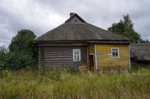 Бревенчатый дом в тихой деревне, недалеко от речки в Ярославле фото 15