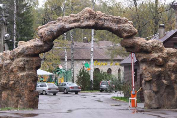 Проведение свадеб в Домодедове фото 16