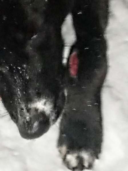 В самые надёжные руки в Саратове фото 9