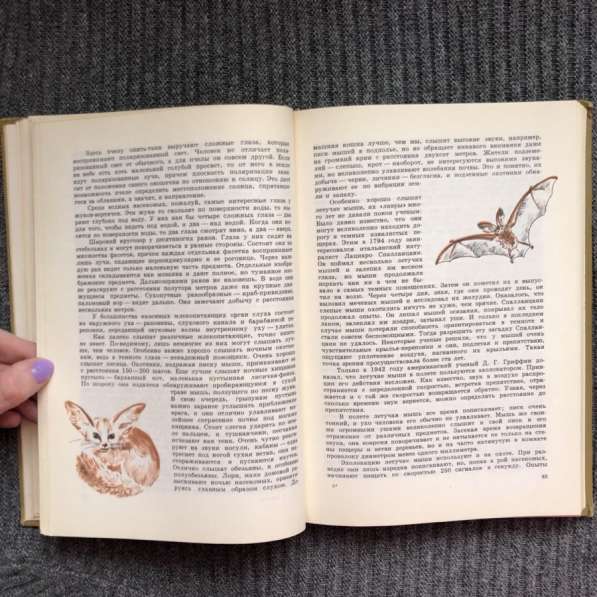 Книга Занимательная зоология В. Сабунаев 1976 в Москве