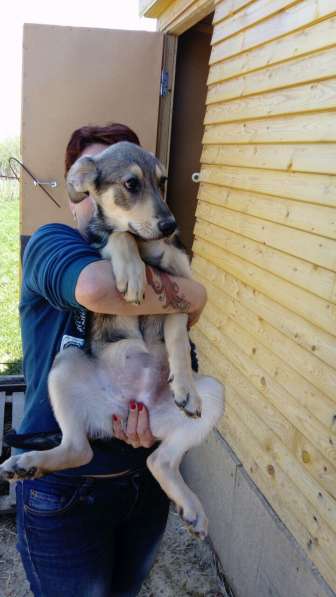 Великолепная Четверка в дар в Москве фото 32