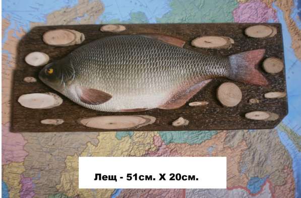 Сувенир для рыбака и охотника в Новосибирске фото 12