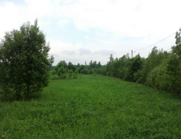 Продается земельный участок 15 соток в пос. Дровнино, Можайский район, 147 км от МКАД по Минскому шоссе. в Можайске
