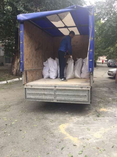 Вывоз мусора Зеленоград в Зеленограде фото 6