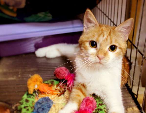 Очаровательная Злата грезит о доме в Москве