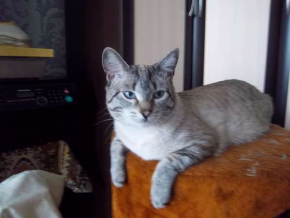 Маруся и Ванечка в фото 3