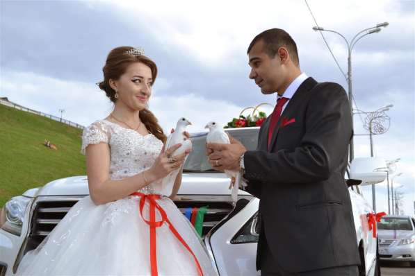 Видео и фото ярких моментов жизни, видеомонтаж в Ижевске фото 7