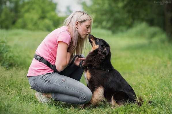 Чудо-собачка Фиби ищет семью в Москве фото 20