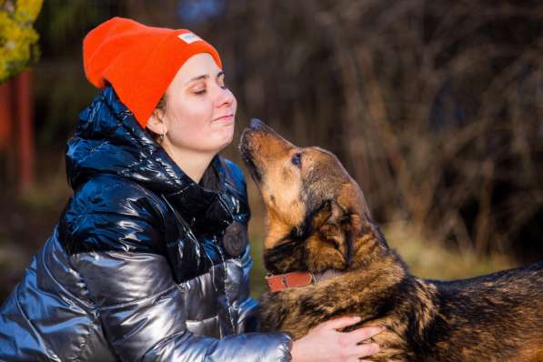 Рекс - самый умный и самый душевный пес в дар в Москве фото 6