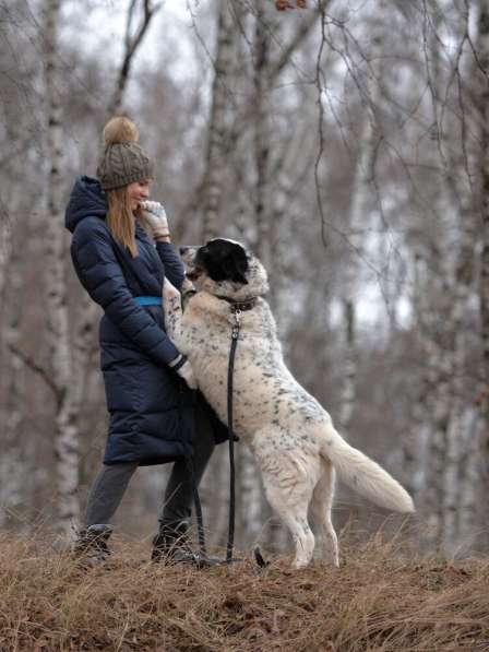 Благородный Герцог ищет семью в Москве фото 44