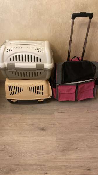 Переноска для животных в Санкт-Петербурге