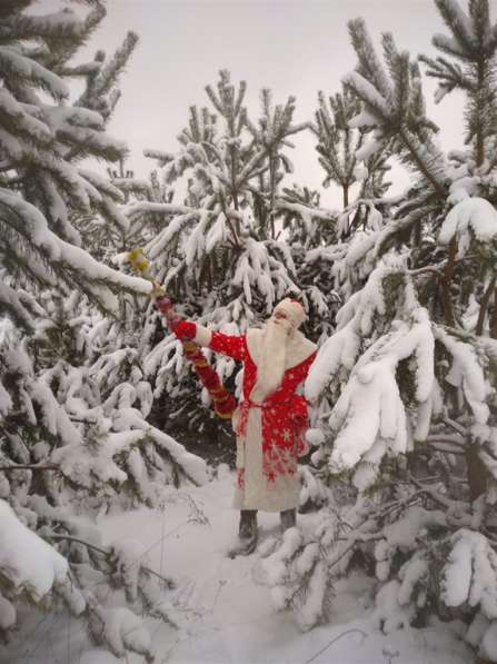 Дед Мороз и Снегурочка в детский сад и на дом! в 