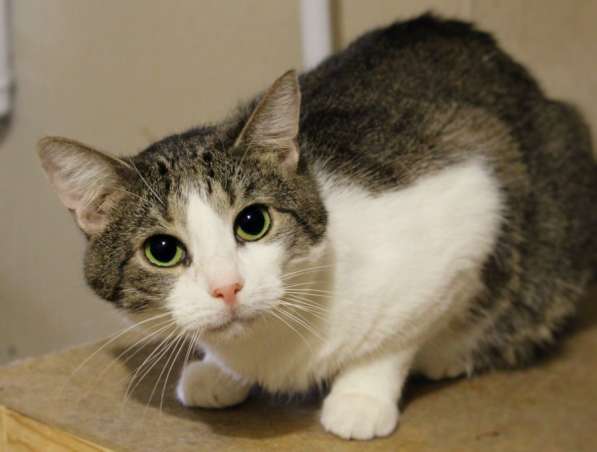 Скромный Гарри в поисках уютного дома в Москве фото 3