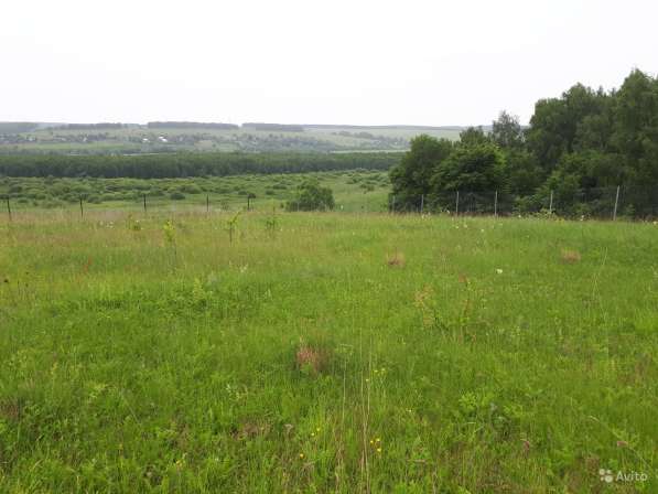 Участок 15 соток в Туле фото 22