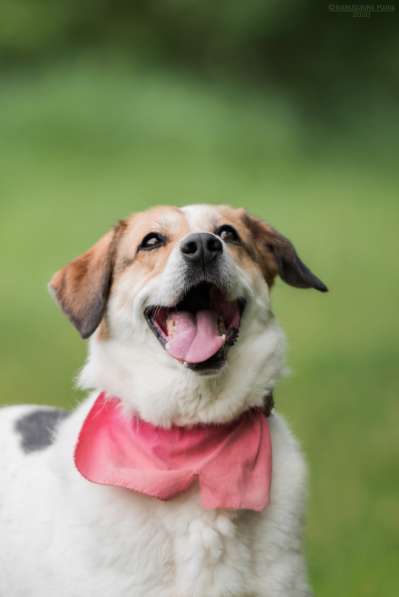 Улыбчивый лучик Фаина ищет семью в Москве фото 22