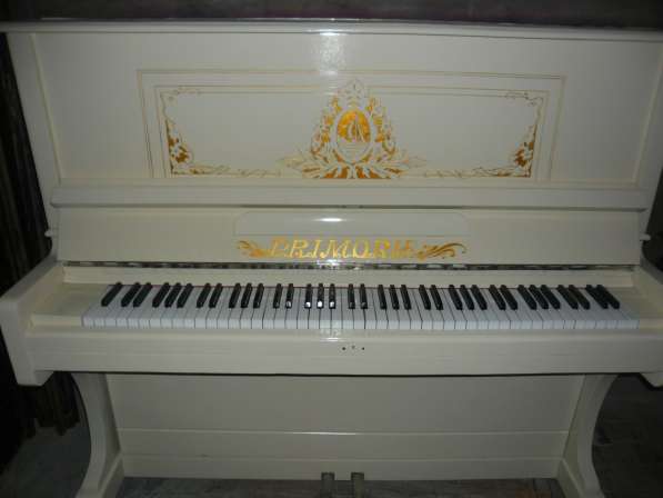 Настройка пианино и роялей в Краснодаре в Краснодаре фото 3